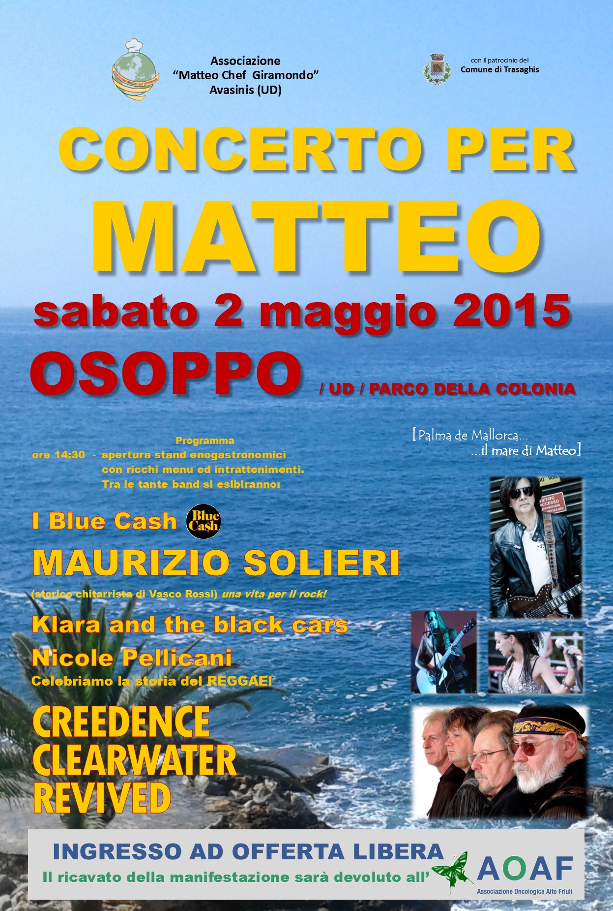 concerto per matteo 2015